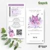 UNDANGAN PERNIKAHAN AESTHETIC GOPEK LITE COLOUR - GOPEK LITE 16