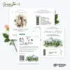 UNDANGAN PERNIKAHAN CUSTOM - UNDANGAN NIKAH GREEN SERI 3 BORDELES - UNDANGAN BAHAN BRIFCARD MURAH - GREEN 138