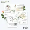 UNDANGAN PERNIKAHAN CUSTOM - UNDANGAN NIKAH GREEN SERI 3 BORDELES - UNDANGAN BAHAN BRIFCARD MURAH - GREEN 171