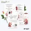 UNDANGAN PERNIKAHAN CUSTOM - UNDANGAN NIKAH GREEN SERI 3 BORDELES - UNDANGAN BAHAN BRIFCARD MURAH - GREEN 185